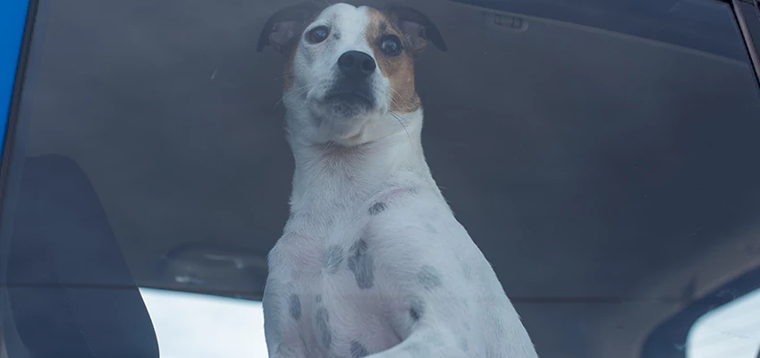 Car Lockout Solutions in Santa Maria, California